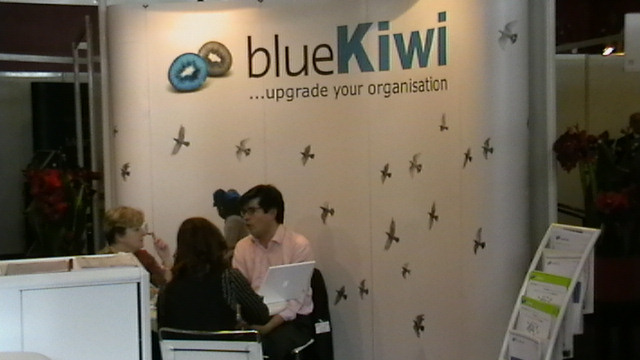 blue-kiwi